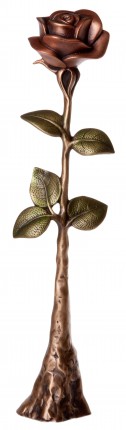 image du produit Rose à poser Bronze rouge-vert