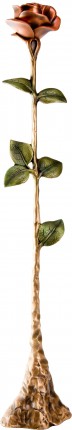 image du produit Rose à poser Bronze rouge-vert