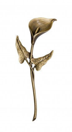 image du produit Arum Bronze