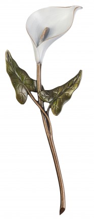 image du produit Arum Bronze blanc-vert