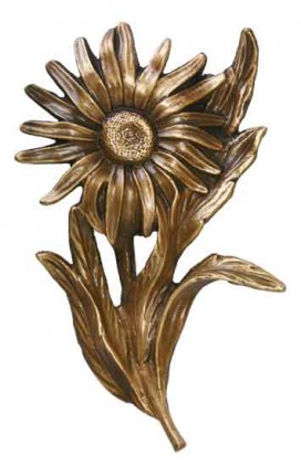 image du produit Marguerite Bronze