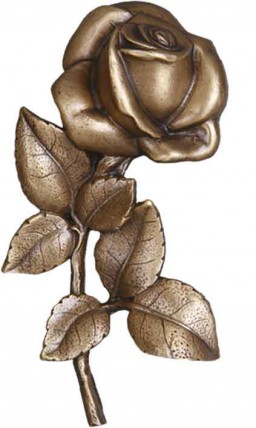 image du produit Rose Bronze