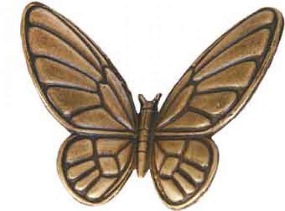image du produit Papillon Bronze