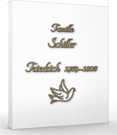 image du produit Schiller Majuscule 60mm / minuscule 27mm Bronze