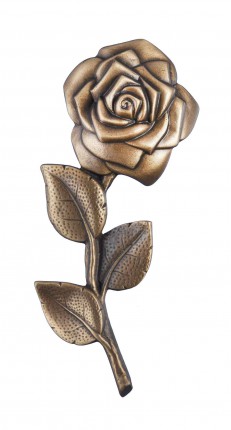 image du produit Rose Bronze
