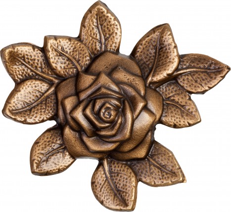 image du produit Rose Bronze