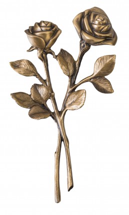 image du produit Roses croisées Bronze
