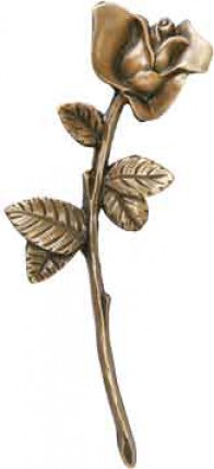 image du produit Rose Bronze