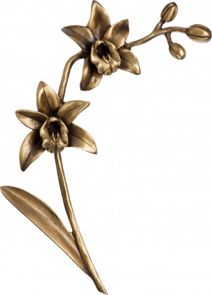 image du produit Orchidée Bronze