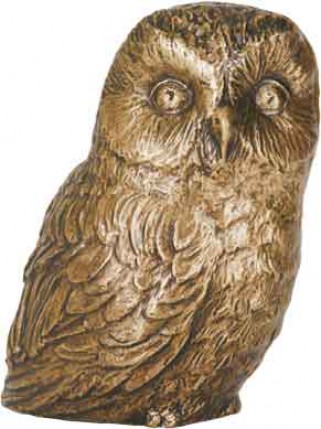 image du produit Chouette Bronze