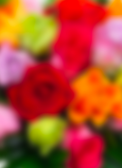 Catégorie LES FLEURS EN LIGNE