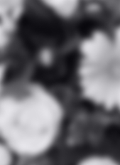 Catégorie MARBRERIE FUNÉRAIRE